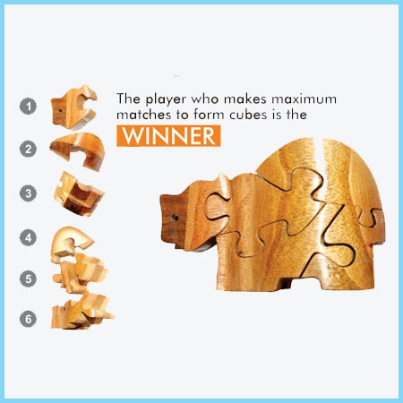 Mind Power-Figure Me Out/Wooden Rhino